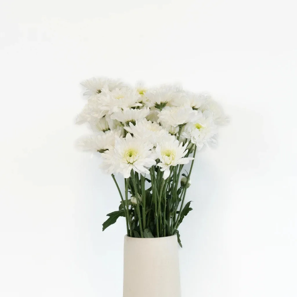 Apple Crisp Green Flower