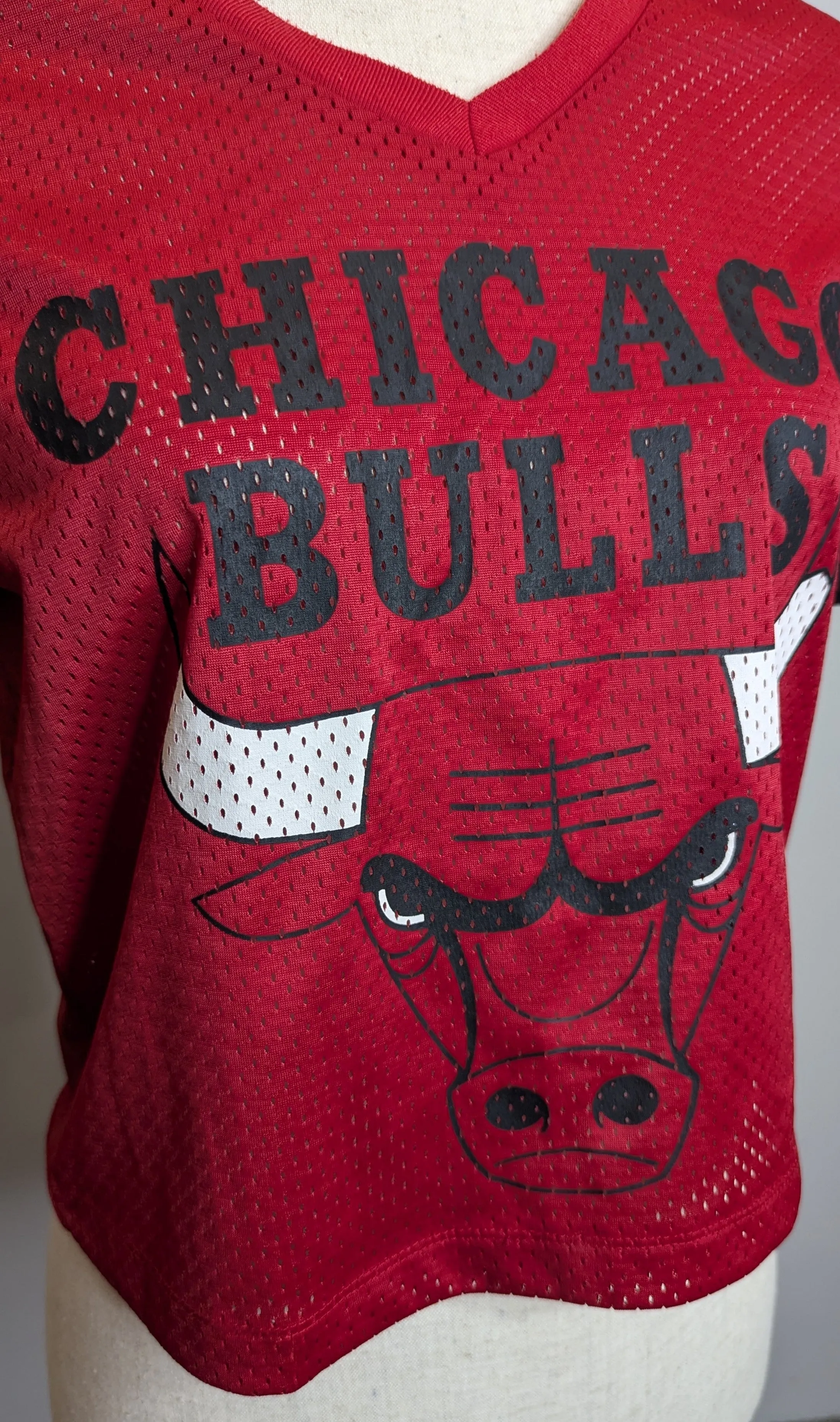 Forever21 NBA Chicago Bulls Cropped Mesh Tshirt
